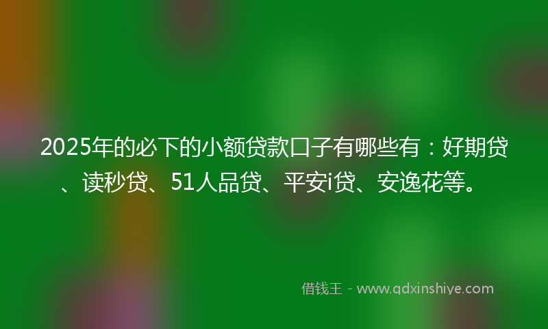 2025年的必下的小额贷款口子有哪些有：好期贷、读秒贷、51人品贷、平安i贷、安逸花等。