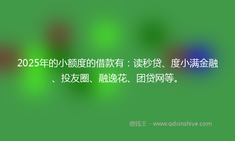 2025年的小额度的借款有：读秒贷、度小满金融、投友圈、融逸花、团贷网等。