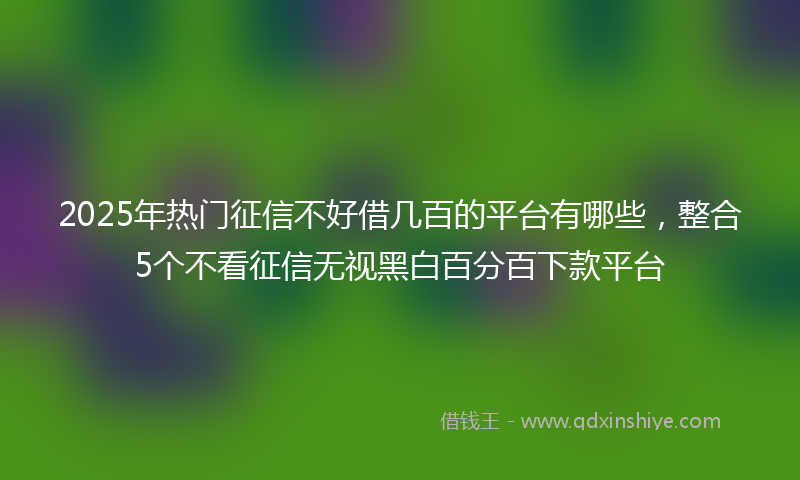2025年热门征信不好借几百的平台有哪些，整合5个不看征信无视黑白百分百下款平台