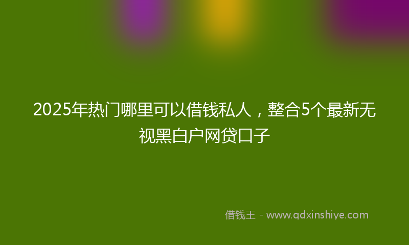 2025年热门哪里可以借钱私人，整合5个最新无视黑白户网贷口子