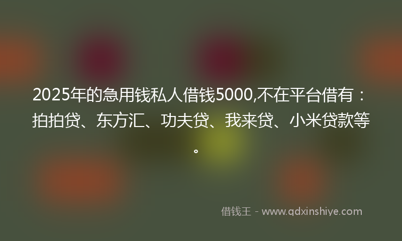 2025年的急用钱私人借钱5000,不在平台借有：拍拍贷、东方汇、功夫贷、我来贷、小米贷款等。