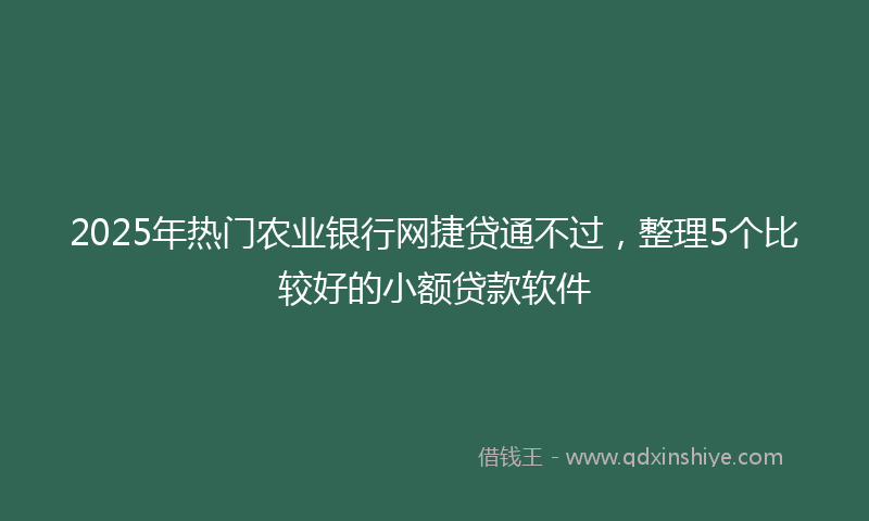 2025年热门农业银行网捷贷通不过，整理5个比较好的小额贷款软件