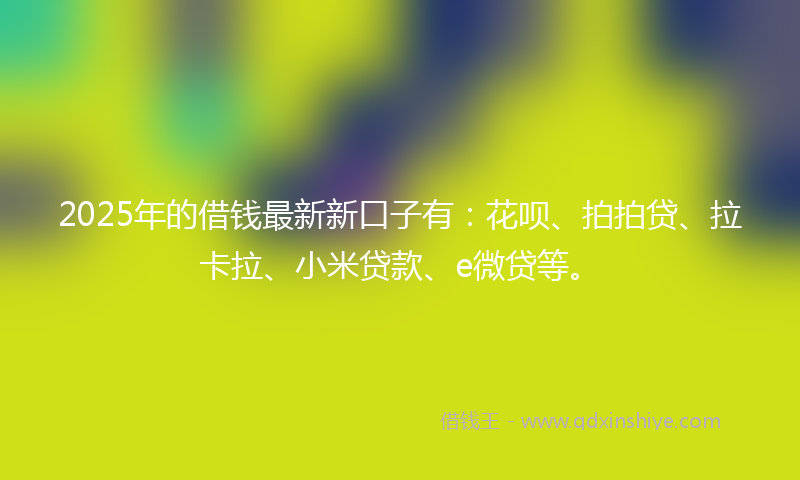 2025年的借钱最新新口子有：花呗、拍拍贷、拉卡拉、小米贷款、e微贷等。