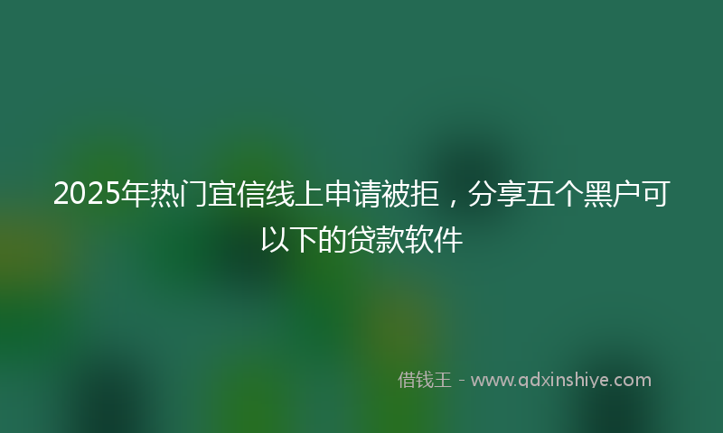 2025年热门宜信线上申请被拒，分享五个黑户可以下的贷款软件