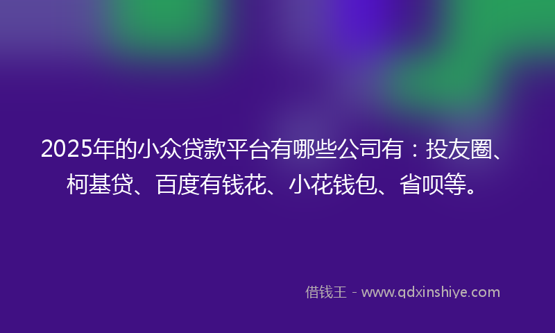 2025年的小众贷款平台有哪些公司有：投友圈、柯基贷、百度有钱花、小花钱包、省呗等。