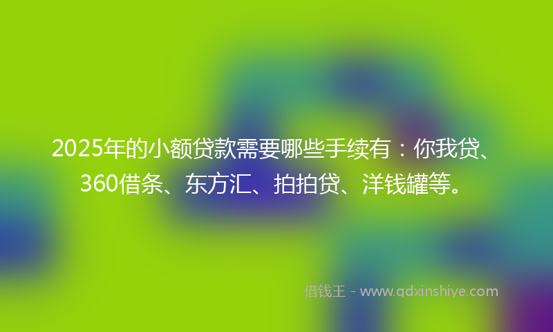 2025年的小额贷款需要哪些手续有：你我贷、360借条、东方汇、拍拍贷、洋钱罐等。
