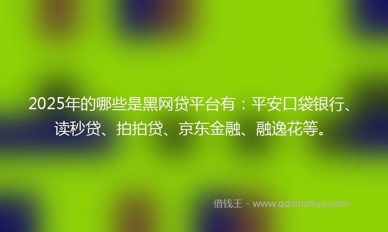 2025年的哪些是黑网贷平台有：平安口袋银行、读秒贷、拍拍贷、京东金融、融逸花等。