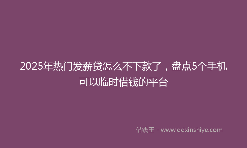 2025年热门发薪贷怎么不下款了，盘点5个手机可以临时借钱的平台