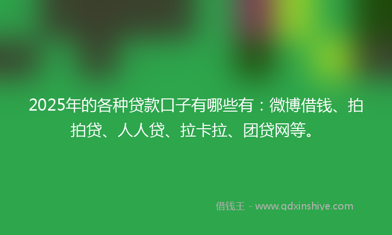 2025年的各种贷款口子有哪些有：微博借钱、拍拍贷、人人贷、拉卡拉、团贷网等。