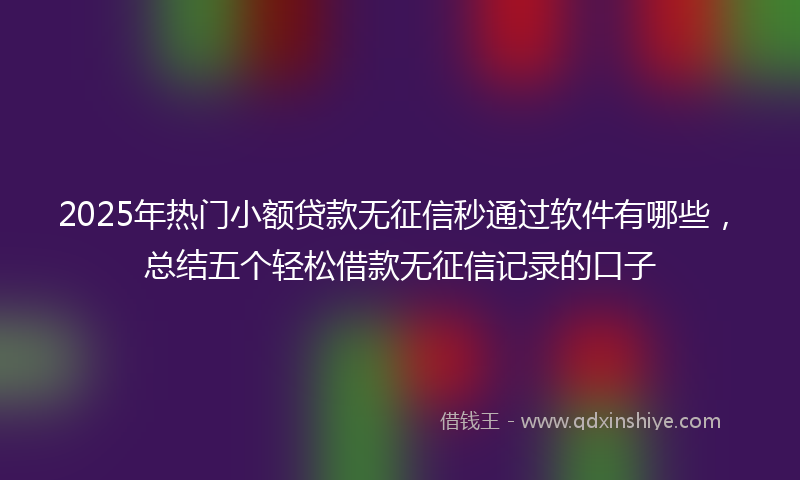 2025年热门小额贷款无征信秒通过软件有哪些，总结五个轻松借款无征信记录的口子