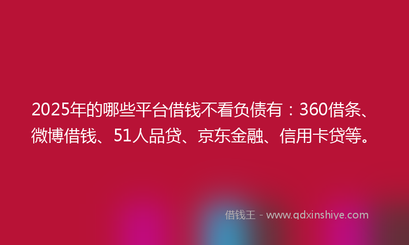2025年的哪些平台借钱不看负债有：360借条、微博借钱、51人品贷、京东金融、信用卡贷等。