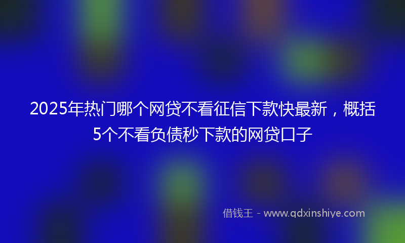 2025年热门哪个网贷不看征信下款快最新，概括5个不看负债秒下款的网贷口子