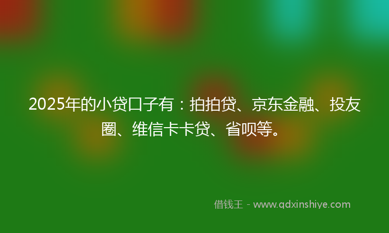 2025年的小贷口子有：拍拍贷、京东金融、投友圈、维信卡卡贷、省呗等。
