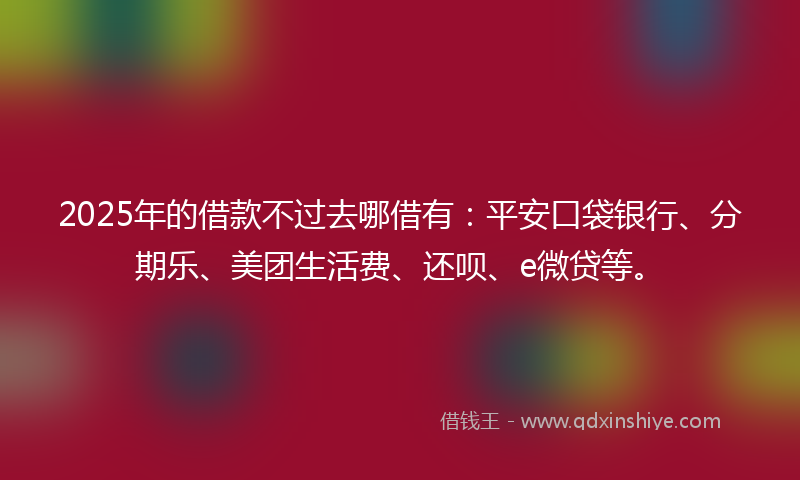 2025年的借款不过去哪借有：平安口袋银行、分期乐、美团生活费、还呗、e微贷等。