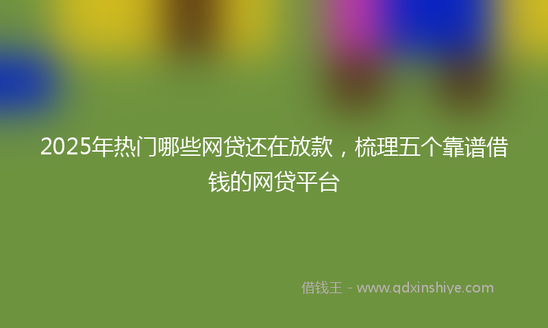 2025年热门哪些网贷还在放款，梳理五个靠谱借钱的网贷平台