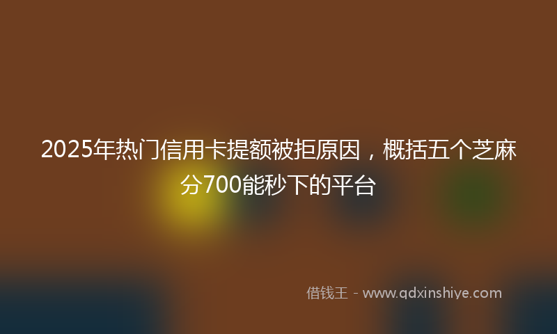 2025年热门信用卡提额被拒原因，概括五个芝麻分700能秒下的平台