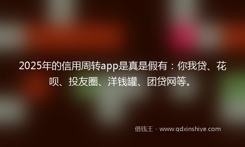 2025年的信用周转app是真是假有：你我贷、花呗、投友圈、洋钱罐、团贷网等。