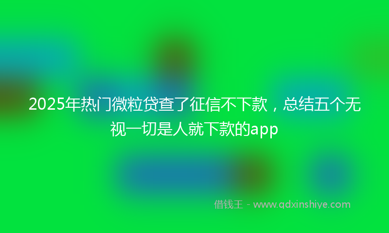 2025年热门微粒贷查了征信不下款，总结五个无视一切是人就下款的app