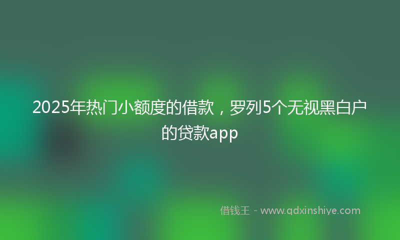 2025年热门小额度的借款，罗列5个无视黑白户的贷款app