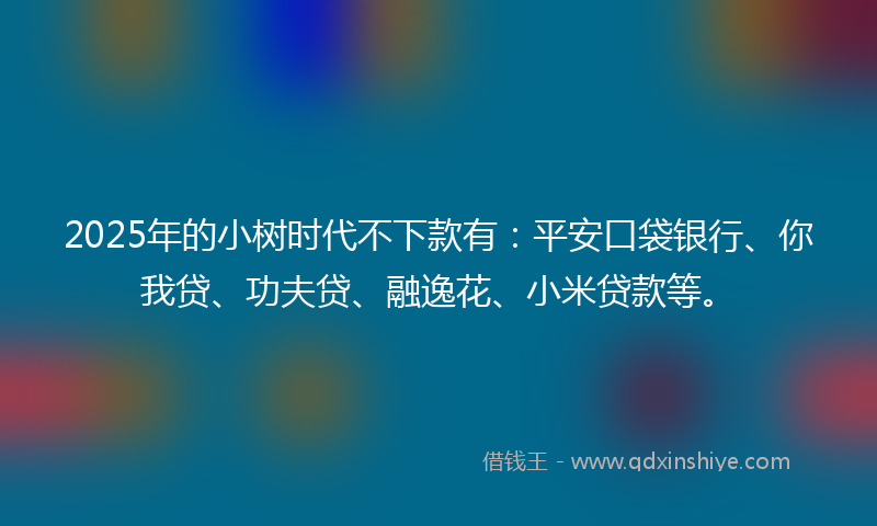 2025年的小树时代不下款有：平安口袋银行、你我贷、功夫贷、融逸花、小米贷款等。