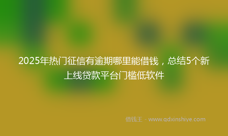 2025年热门征信有逾期哪里能借钱，总结5个新上线贷款平台门槛低软件