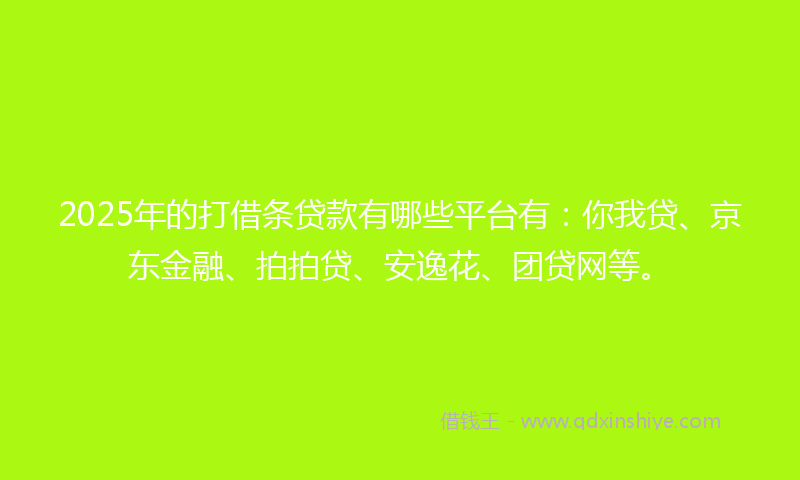 2025年的打借条贷款有哪些平台有：你我贷、京东金融、拍拍贷、安逸花、团贷网等。