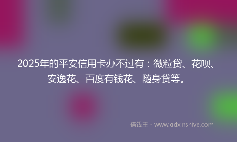 2025年的平安信用卡办不过有：微粒贷、花呗、安逸花、百度有钱花、随身贷等。