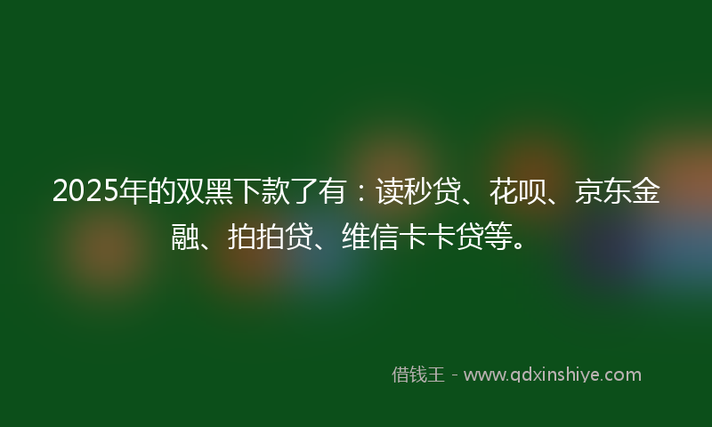 2025年的双黑下款了有：读秒贷、花呗、京东金融、拍拍贷、维信卡卡贷等。