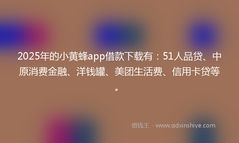 2025年的小黄蜂app借款下载有：51人品贷、中原消费金融、洋钱罐、美团生活费、信用卡贷等。
