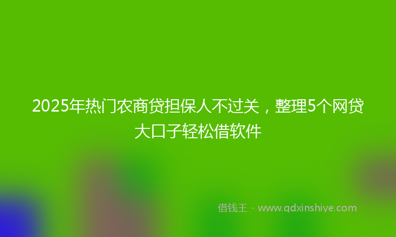 2025年热门农商贷担保人不过关，整理5个网贷大口子轻松借软件