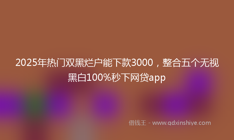 2025年热门双黑烂户能下款3000，整合五个无视黑白100%秒下网贷app
