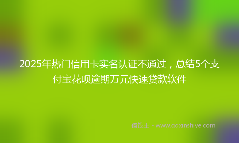 2025年热门信用卡实名认证不通过，总结5个支付宝花呗逾期万元快速贷款软件