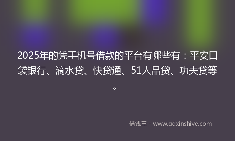 2025年的凭手机号借款的平台有哪些有：平安口袋银行、滴水贷、快贷通、51人品贷、功夫贷等。