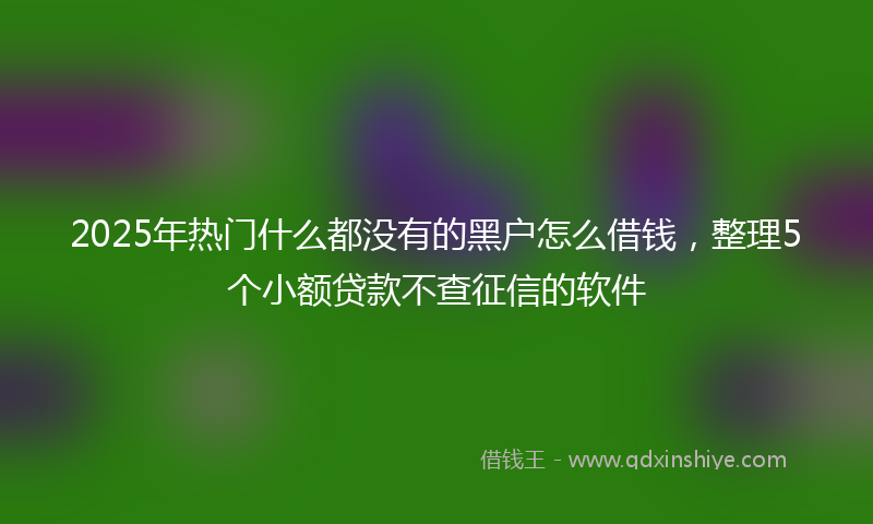 2025年热门什么都没有的黑户怎么借钱，整理5个小额贷款不查征信的软件