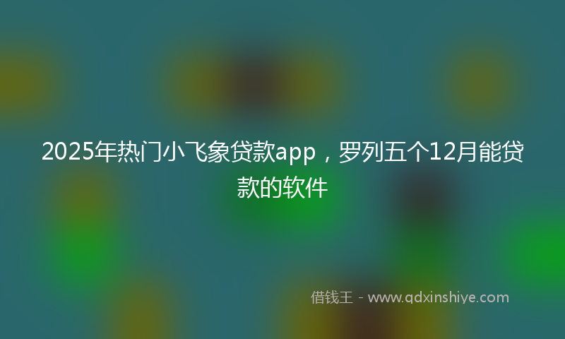 2025年热门小飞象贷款app，罗列五个12月能贷款的软件