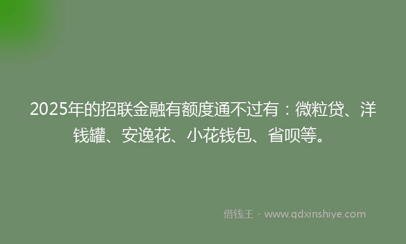 2025年的招联金融有额度通不过有：微粒贷、洋钱罐、安逸花、小花钱包、省呗等。