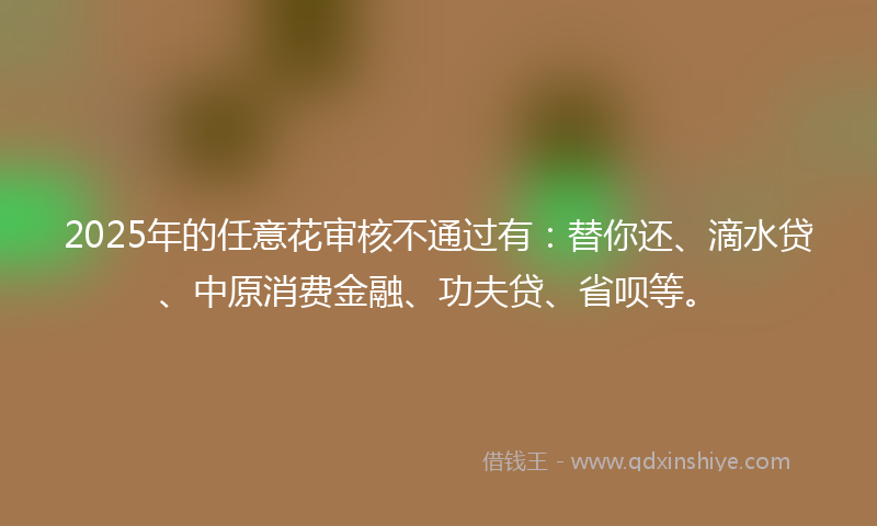 2025年的任意花审核不通过有：替你还、滴水贷、中原消费金融、功夫贷、省呗等。