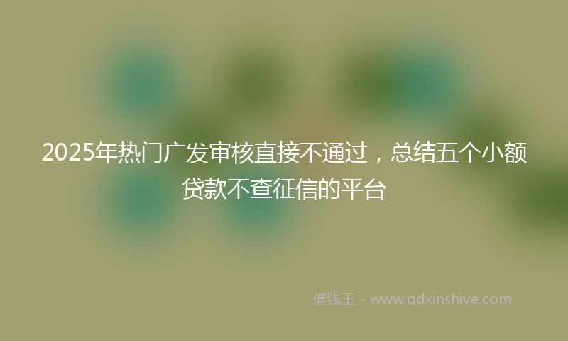 2025年热门广发审核直接不通过，总结五个小额贷款不查征信的平台