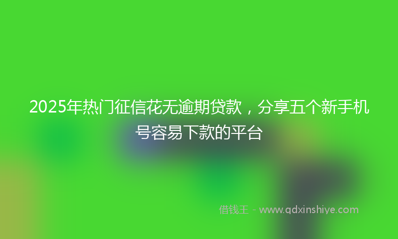 2025年热门征信花无逾期贷款，分享五个新手机号容易下款的平台