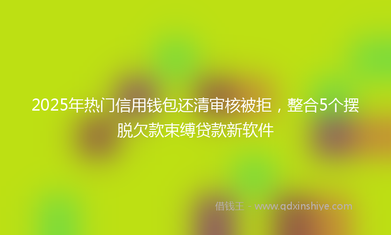 2025年热门信用钱包还清审核被拒，整合5个摆脱欠款束缚贷款新软件