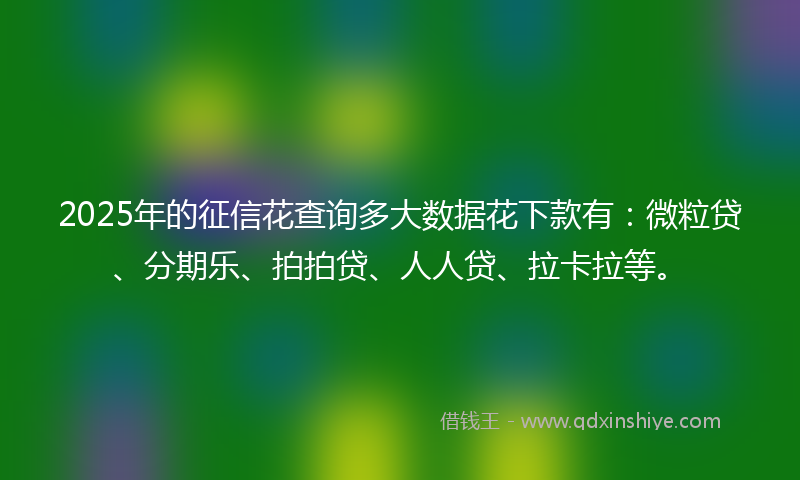 2025年的征信花查询多大数据花下款有：微粒贷、分期乐、拍拍贷、人人贷、拉卡拉等。