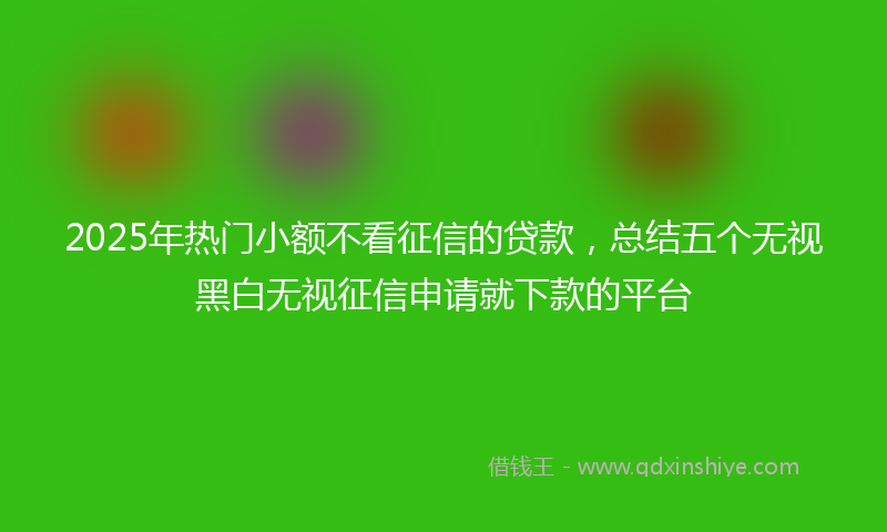 2025年热门小额不看征信的贷款，总结五个无视黑白无视征信申请就下款的平台