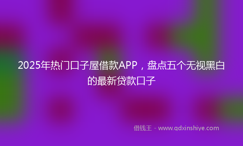 2025年热门口子屋借款APP，盘点五个无视黑白的最新贷款口子