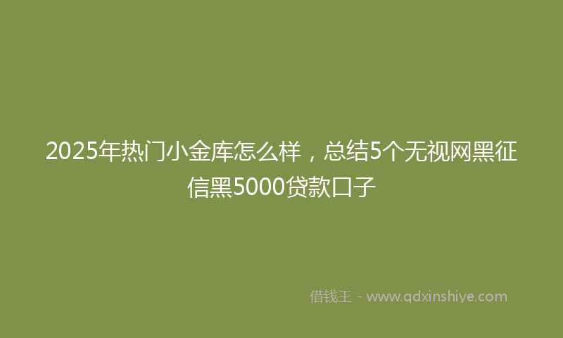 2025年热门小金库怎么样，总结5个无视网黑征信黑5000贷款口子