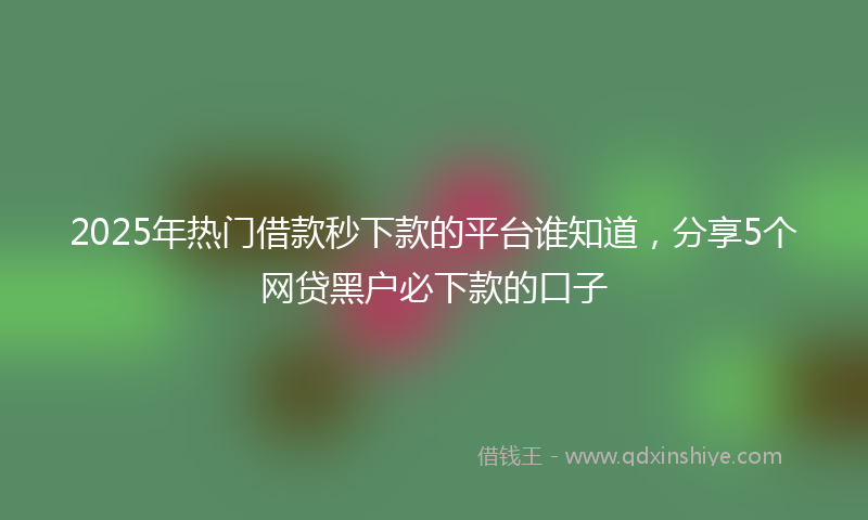 2025年热门借款秒下款的平台谁知道，分享5个网贷黑户必下款的口子