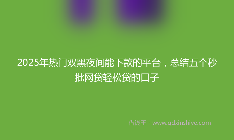 2025年热门双黑夜间能下款的平台，总结五个秒批网贷轻松贷的口子