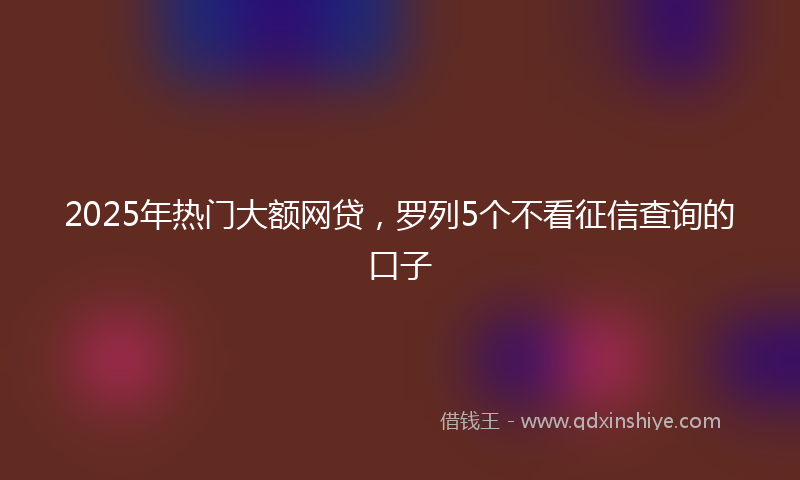 2025年热门大额网贷，罗列5个不看征信查询的口子