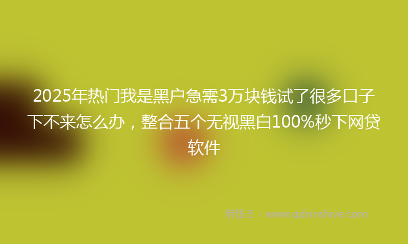 2025年热门我是黑户急需3万块钱试了很多口子下不来怎么办，整合五个无视黑白100%秒下网贷软件