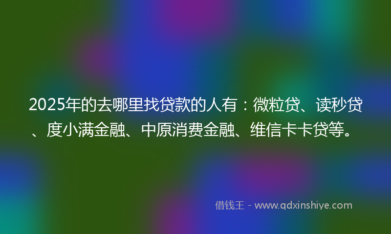 2025年的去哪里找贷款的人有：微粒贷、读秒贷、度小满金融、中原消费金融、维信卡卡贷等。