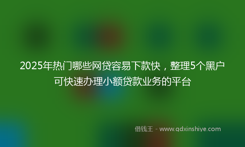 2025年热门哪些网贷容易下款快，整理5个黑户可快速办理小额贷款业务的平台